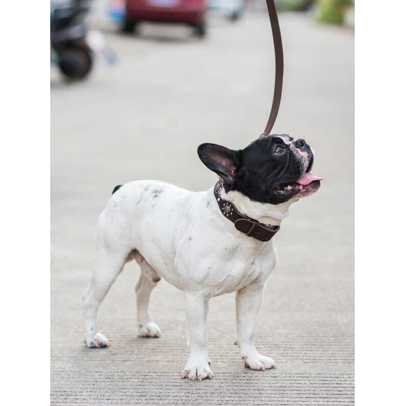 41c4a6627f1b76ea818963f15e0865f9